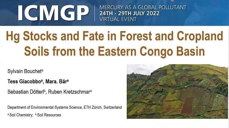 Hg Stocks and Fate in Forest and Cropland Soils from the Eastern Congo Basin